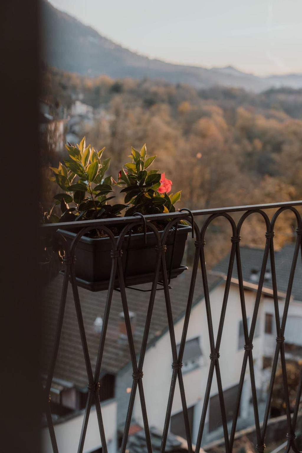 Guesthouse Giulietta E Romeo Cossogno Экстерьер фото